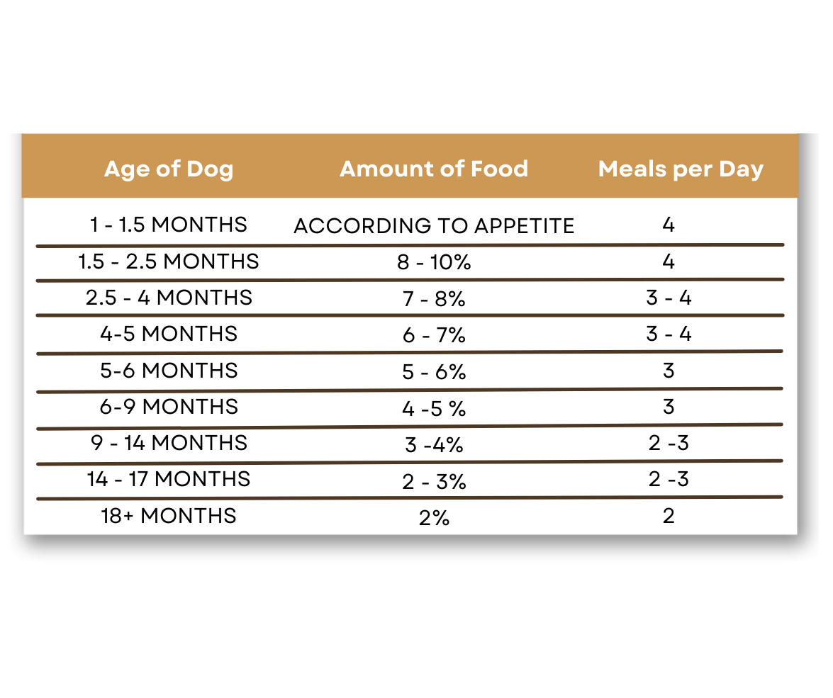 learn-jake-and-blues-raw-dog-food